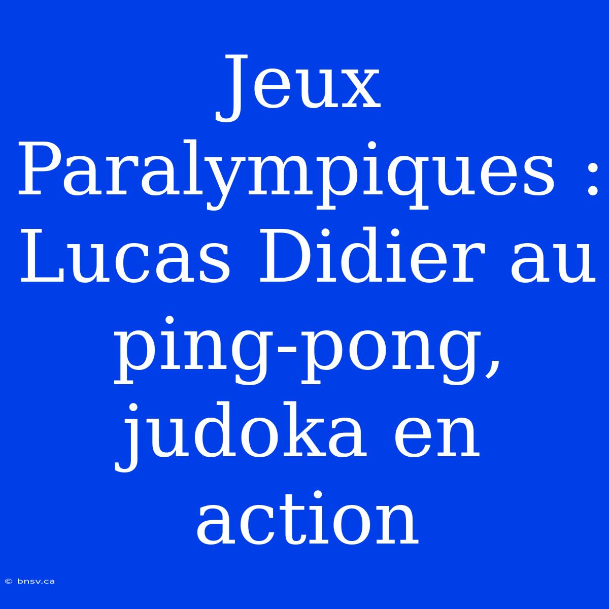 Jeux Paralympiques : Lucas Didier Au Ping-pong, Judoka En Action