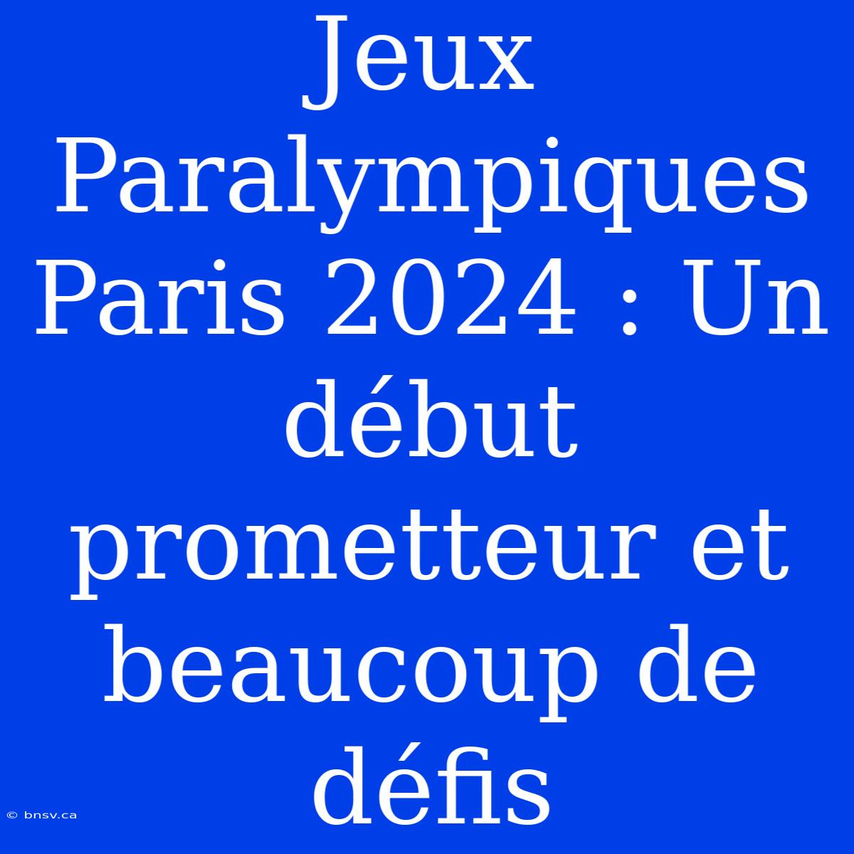 Jeux Paralympiques Paris 2024 : Un Début Prometteur Et Beaucoup De Défis