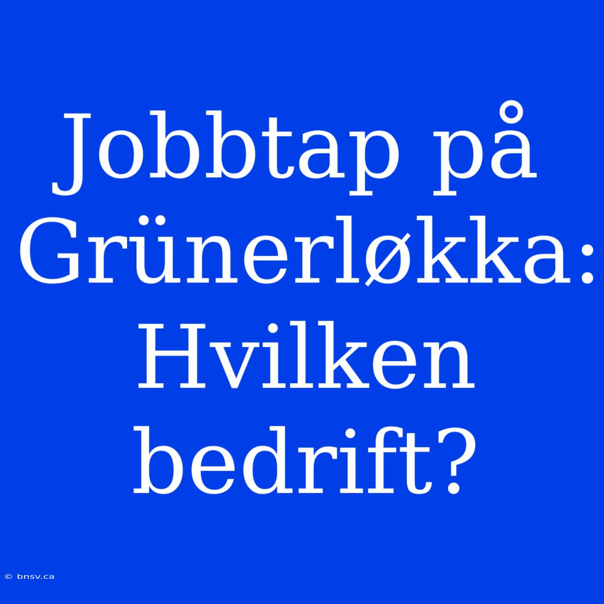 Jobbtap På Grünerløkka: Hvilken Bedrift?