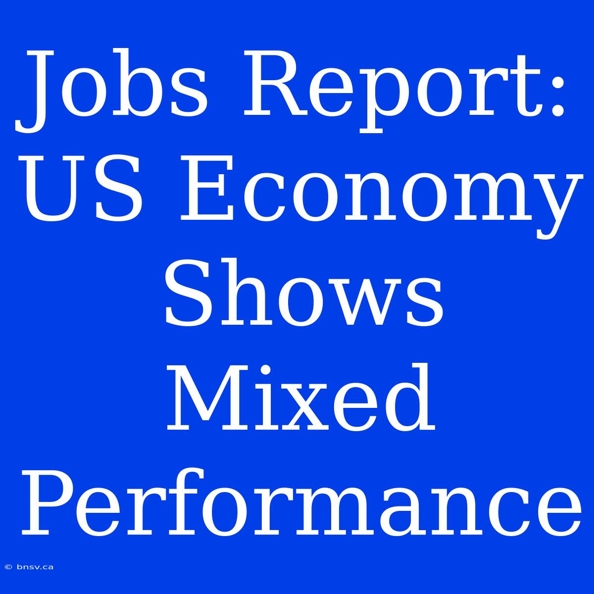 Jobs Report: US Economy Shows Mixed Performance