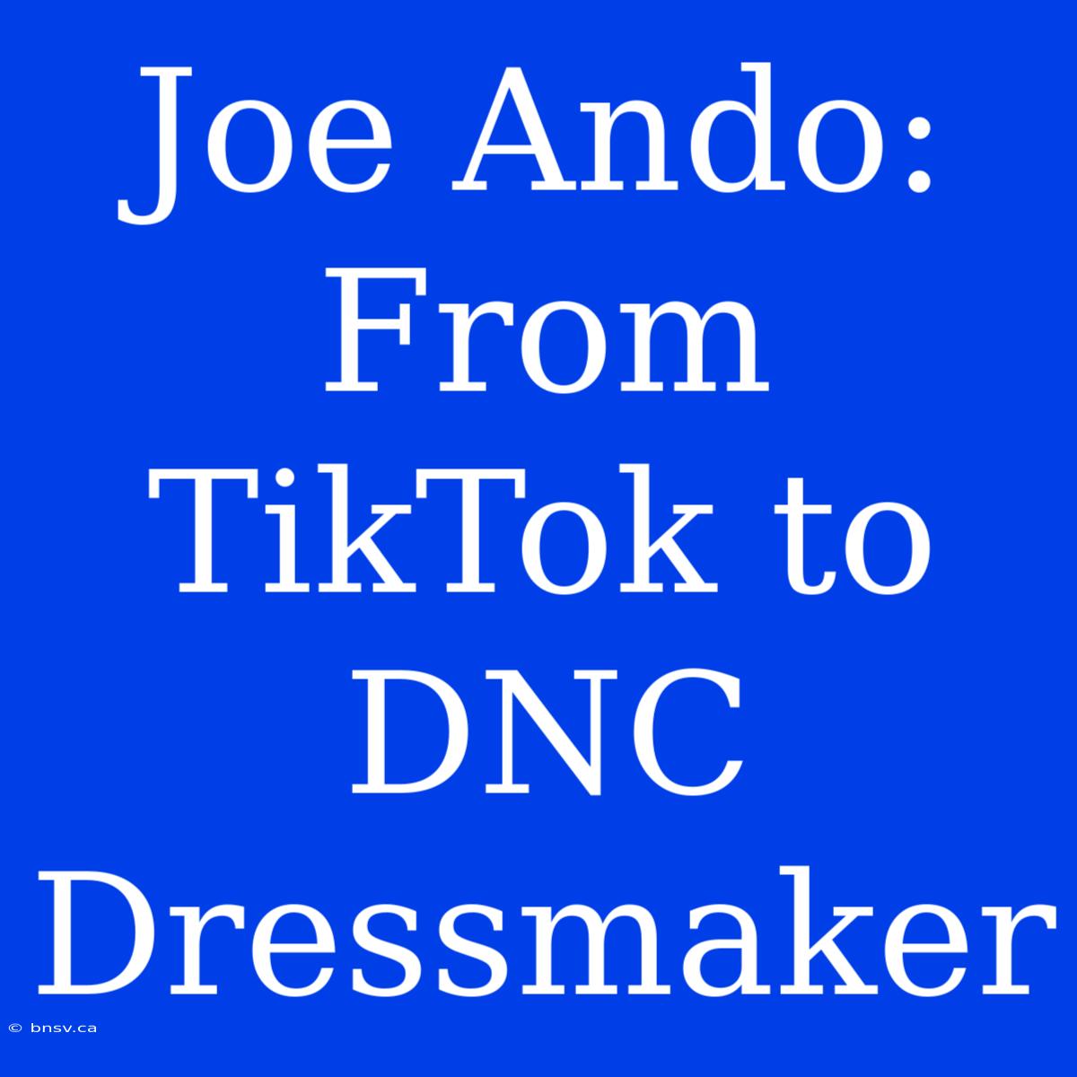 Joe Ando: From TikTok To DNC Dressmaker