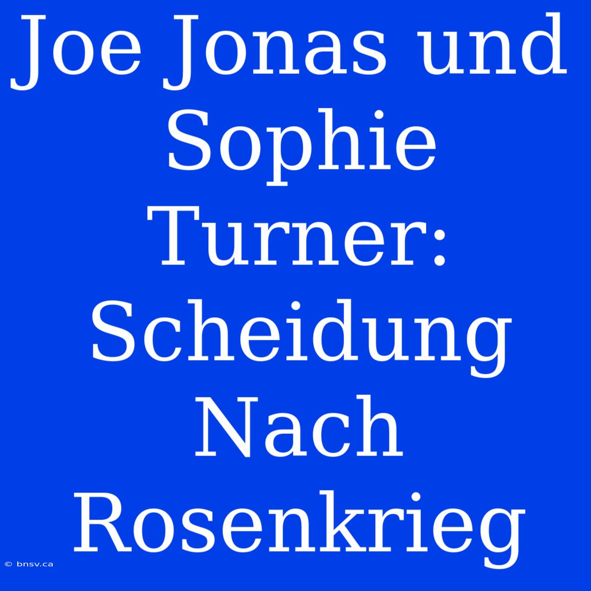 Joe Jonas Und Sophie Turner: Scheidung Nach Rosenkrieg