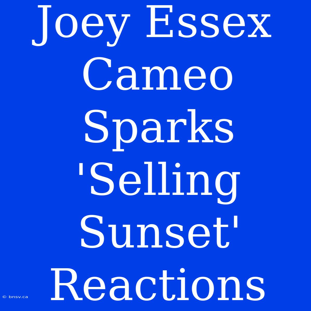 Joey Essex Cameo Sparks 'Selling Sunset' Reactions