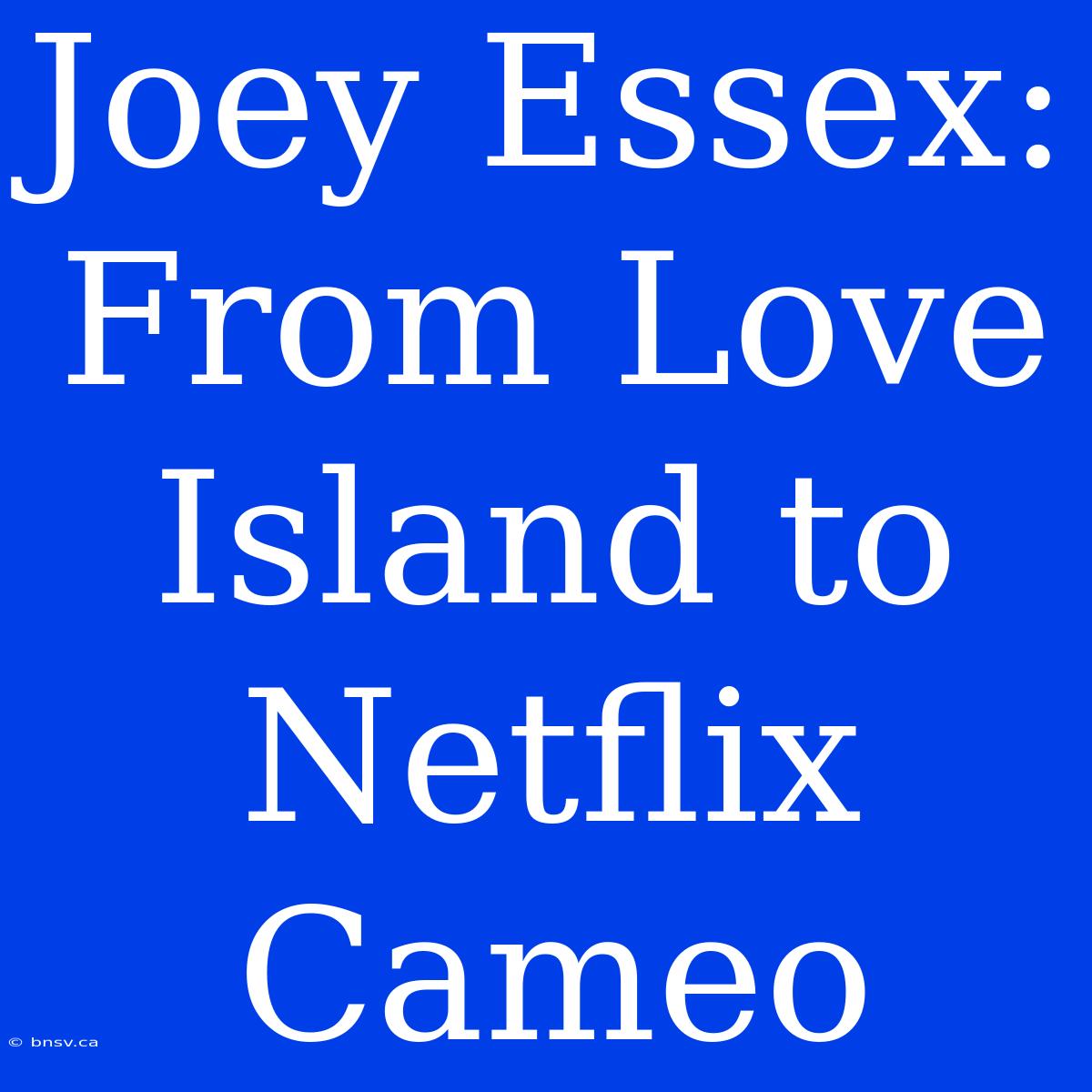 Joey Essex: From Love Island To Netflix Cameo