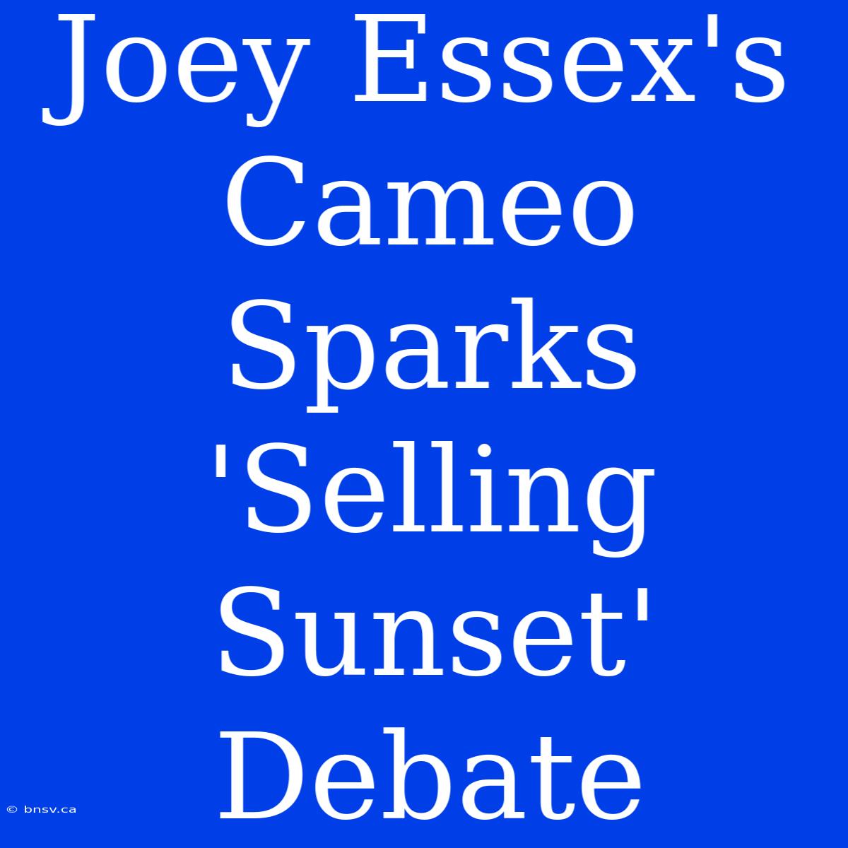 Joey Essex's Cameo Sparks 'Selling Sunset' Debate