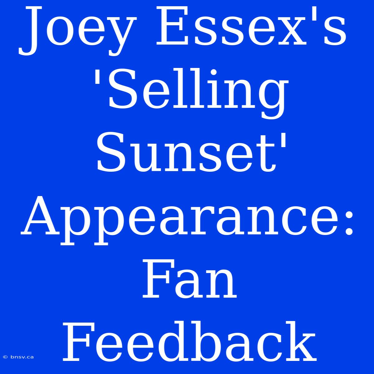 Joey Essex's 'Selling Sunset' Appearance: Fan Feedback