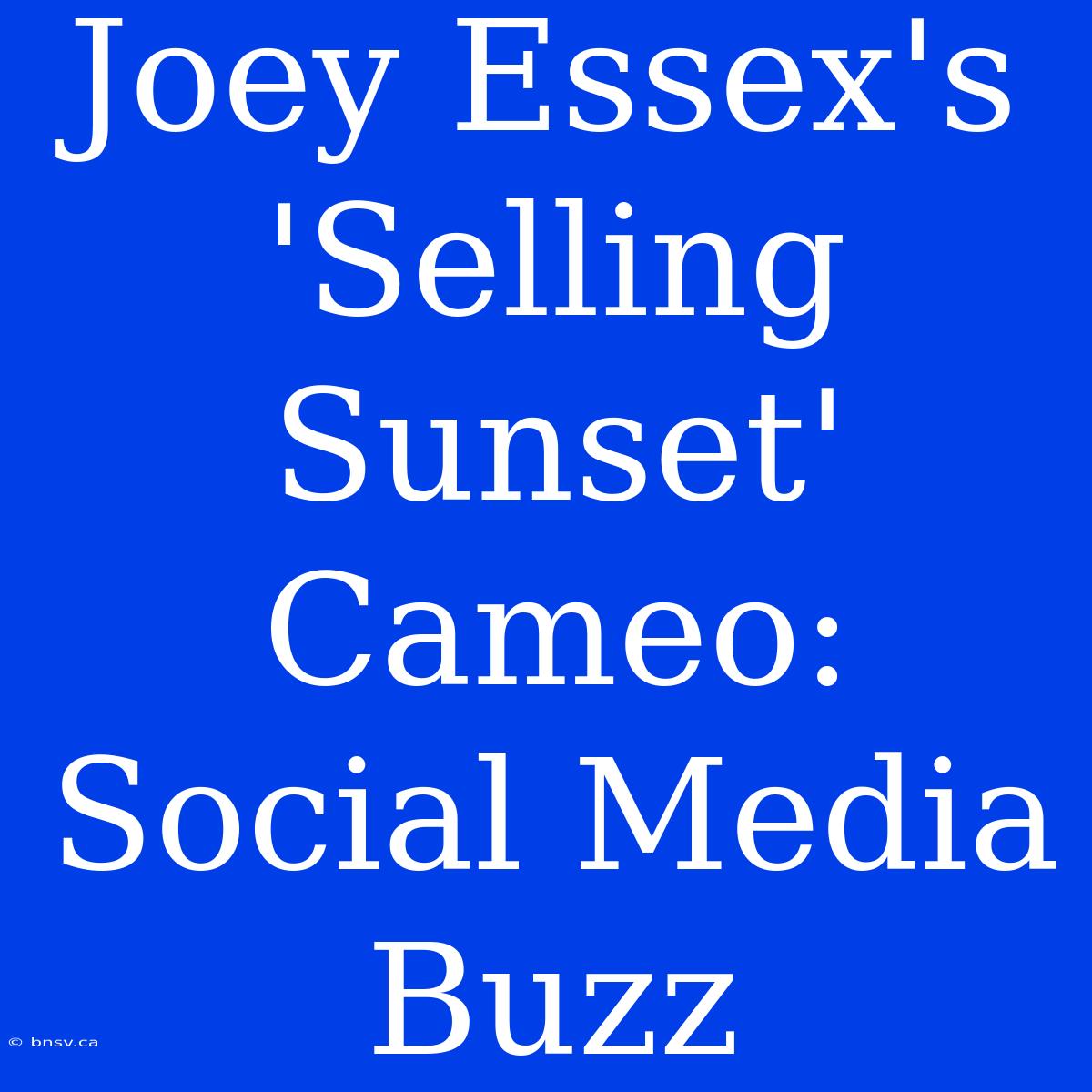 Joey Essex's 'Selling Sunset' Cameo: Social Media Buzz