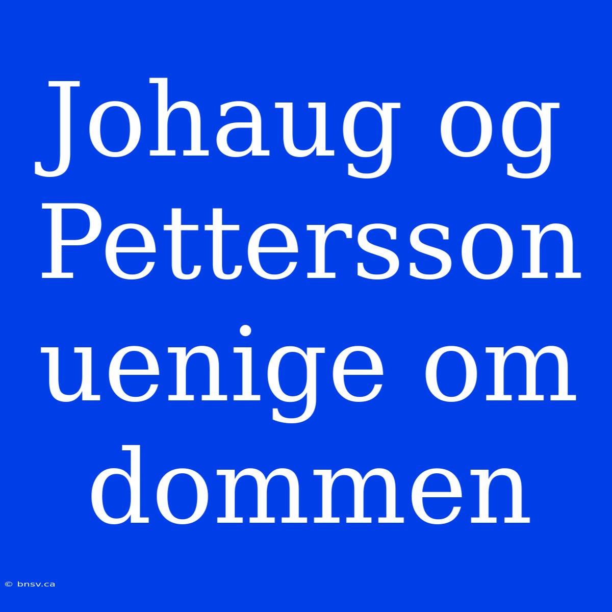 Johaug Og Pettersson Uenige Om Dommen