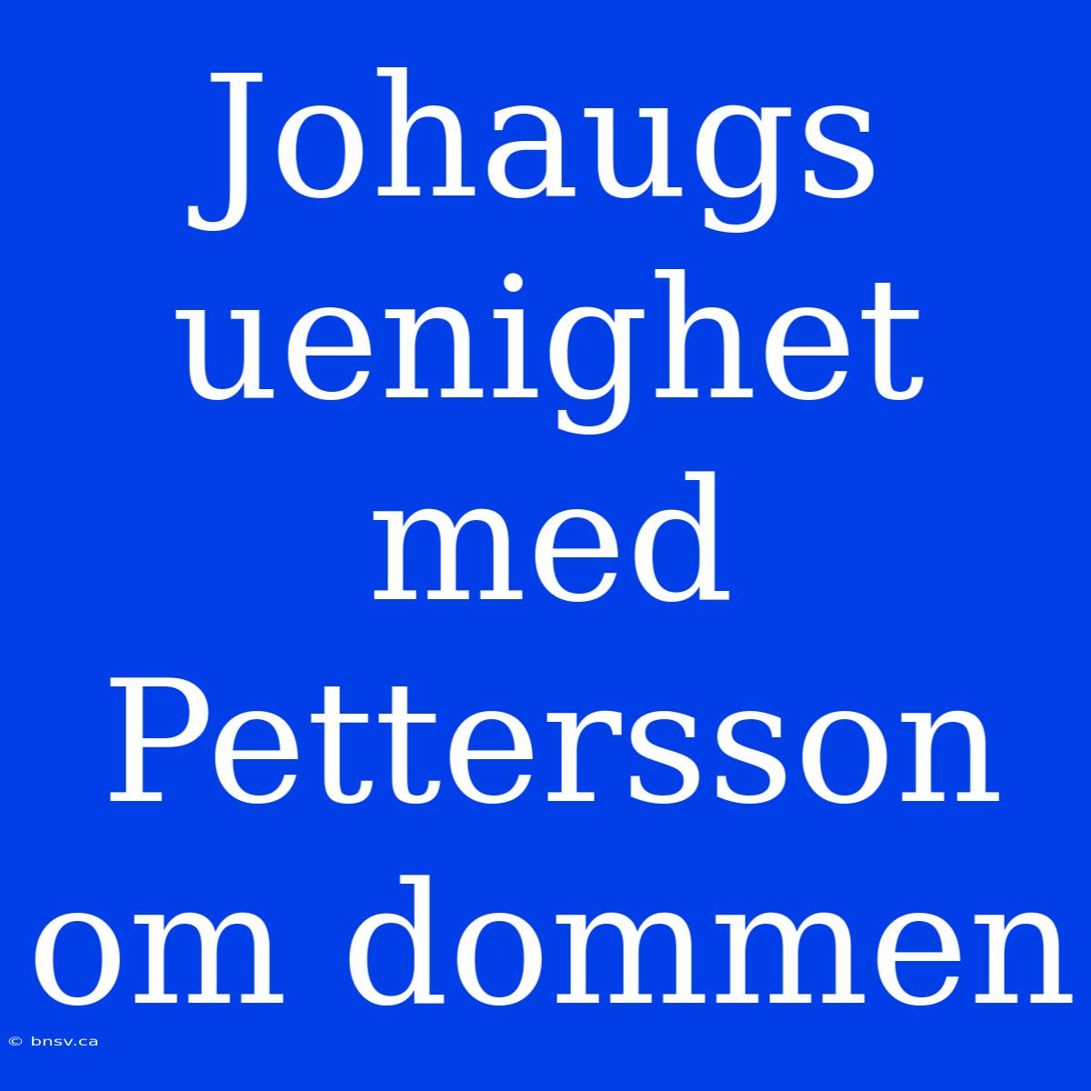 Johaugs Uenighet Med Pettersson Om Dommen