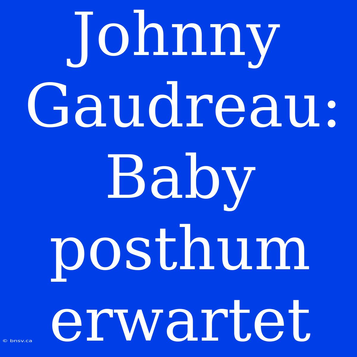 Johnny Gaudreau: Baby Posthum Erwartet