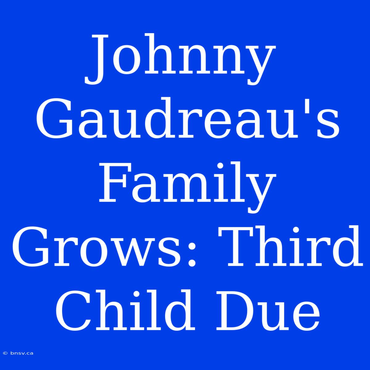 Johnny Gaudreau's Family Grows: Third Child Due