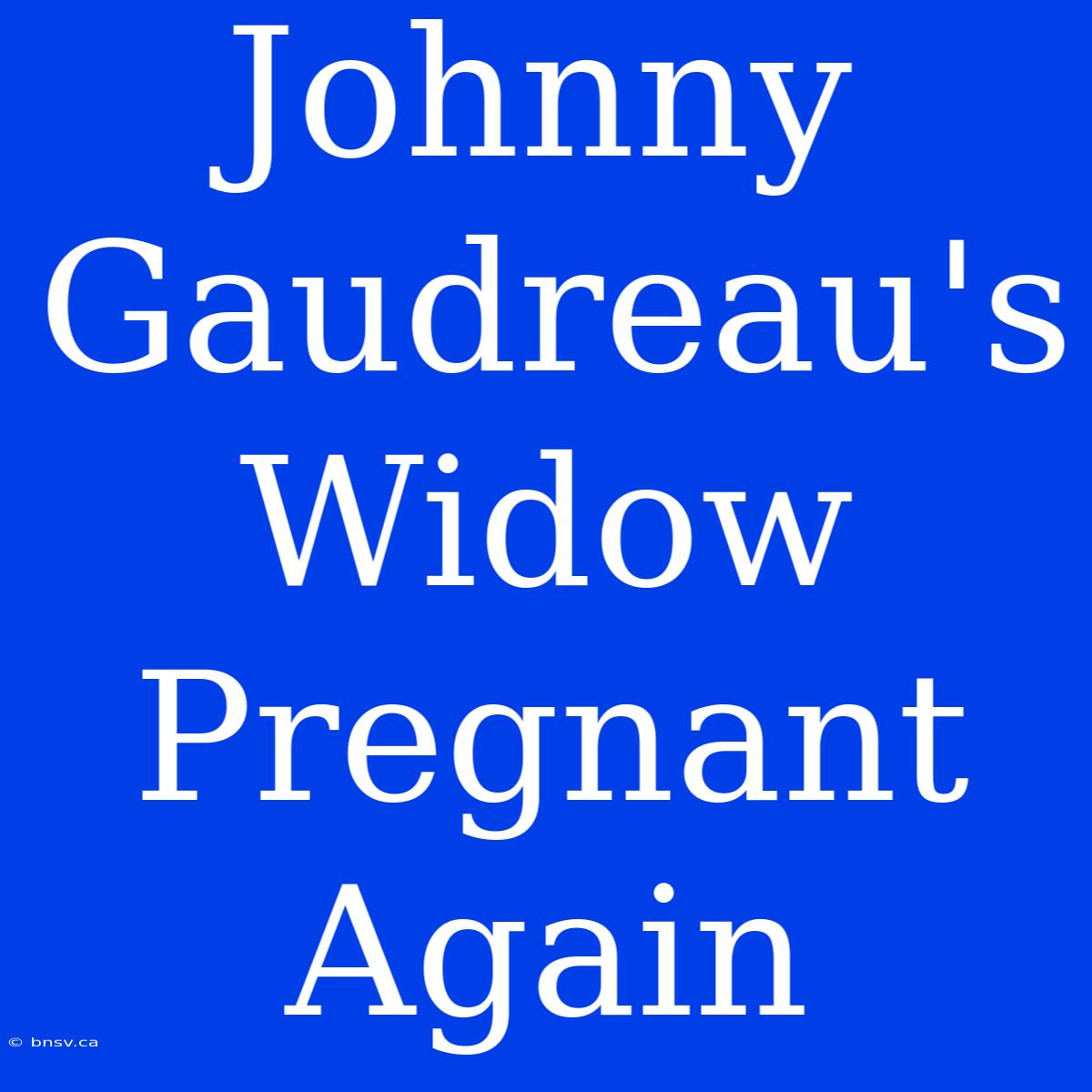 Johnny Gaudreau's Widow Pregnant Again