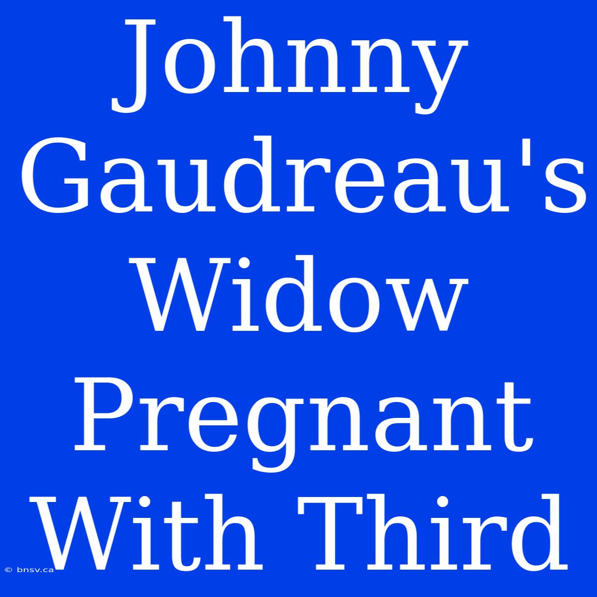 Johnny Gaudreau's Widow Pregnant With Third