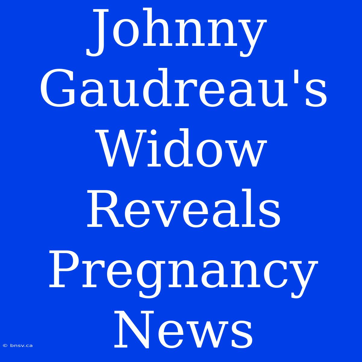 Johnny Gaudreau's Widow Reveals Pregnancy News