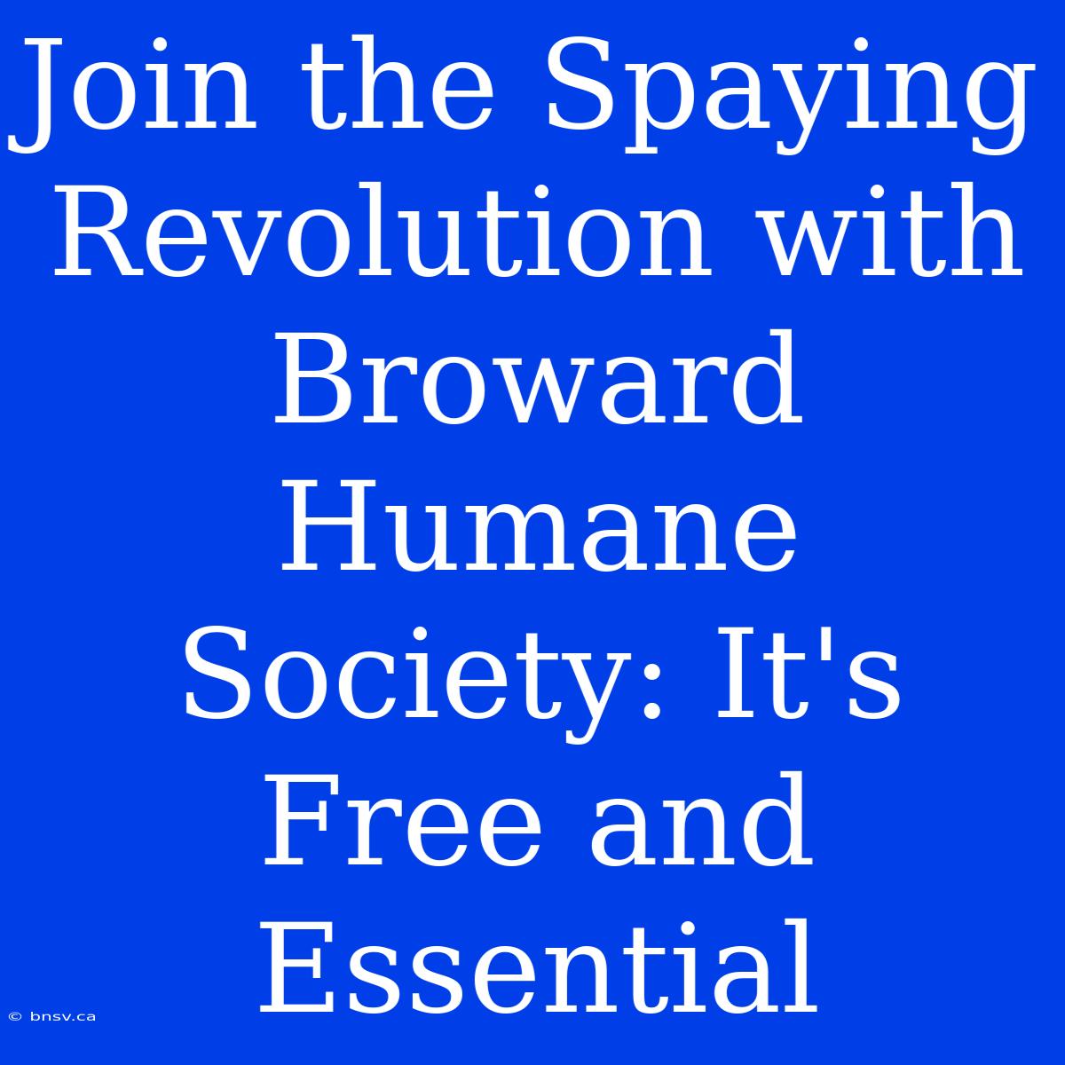 Join The Spaying Revolution With Broward Humane Society: It's Free And Essential