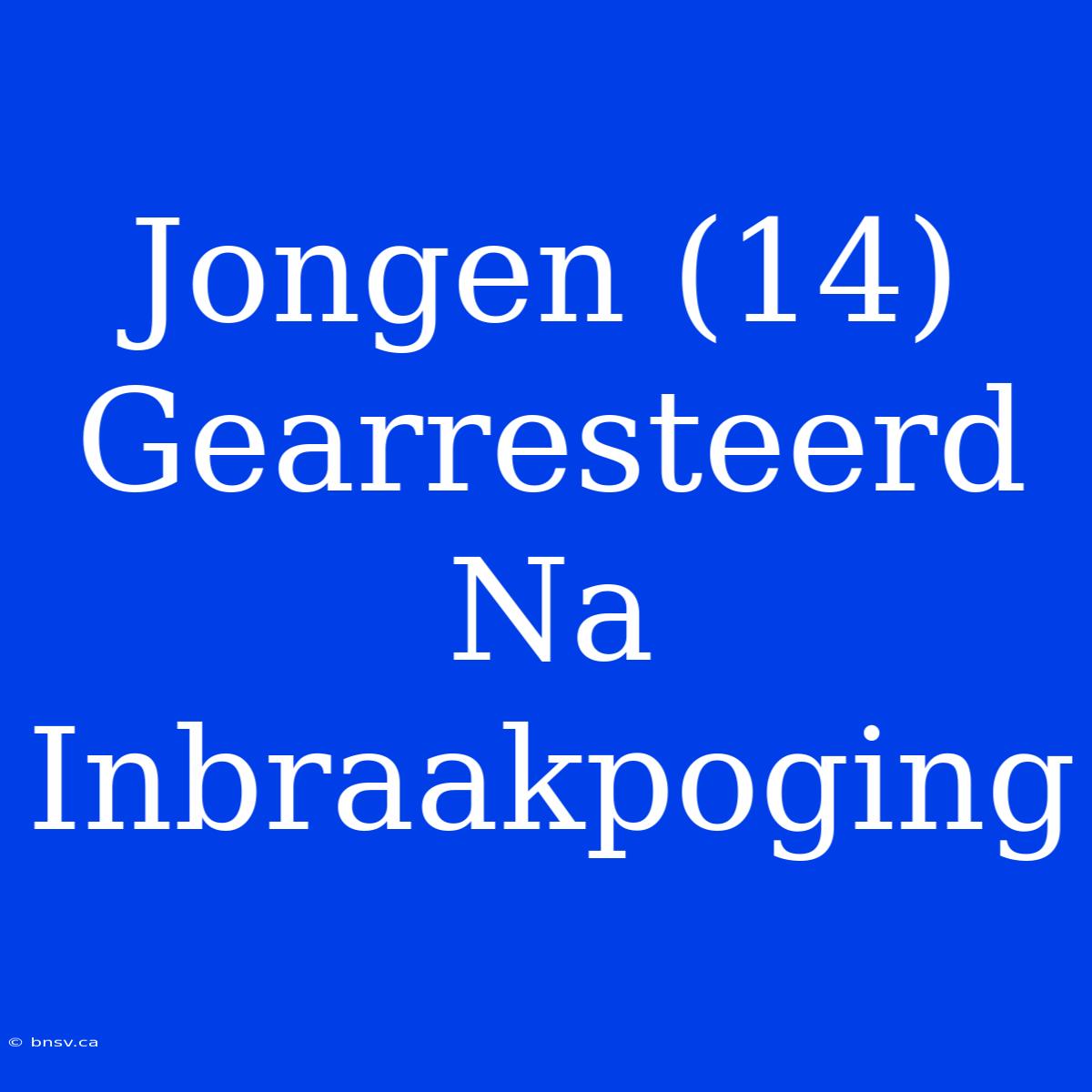 Jongen (14) Gearresteerd Na Inbraakpoging