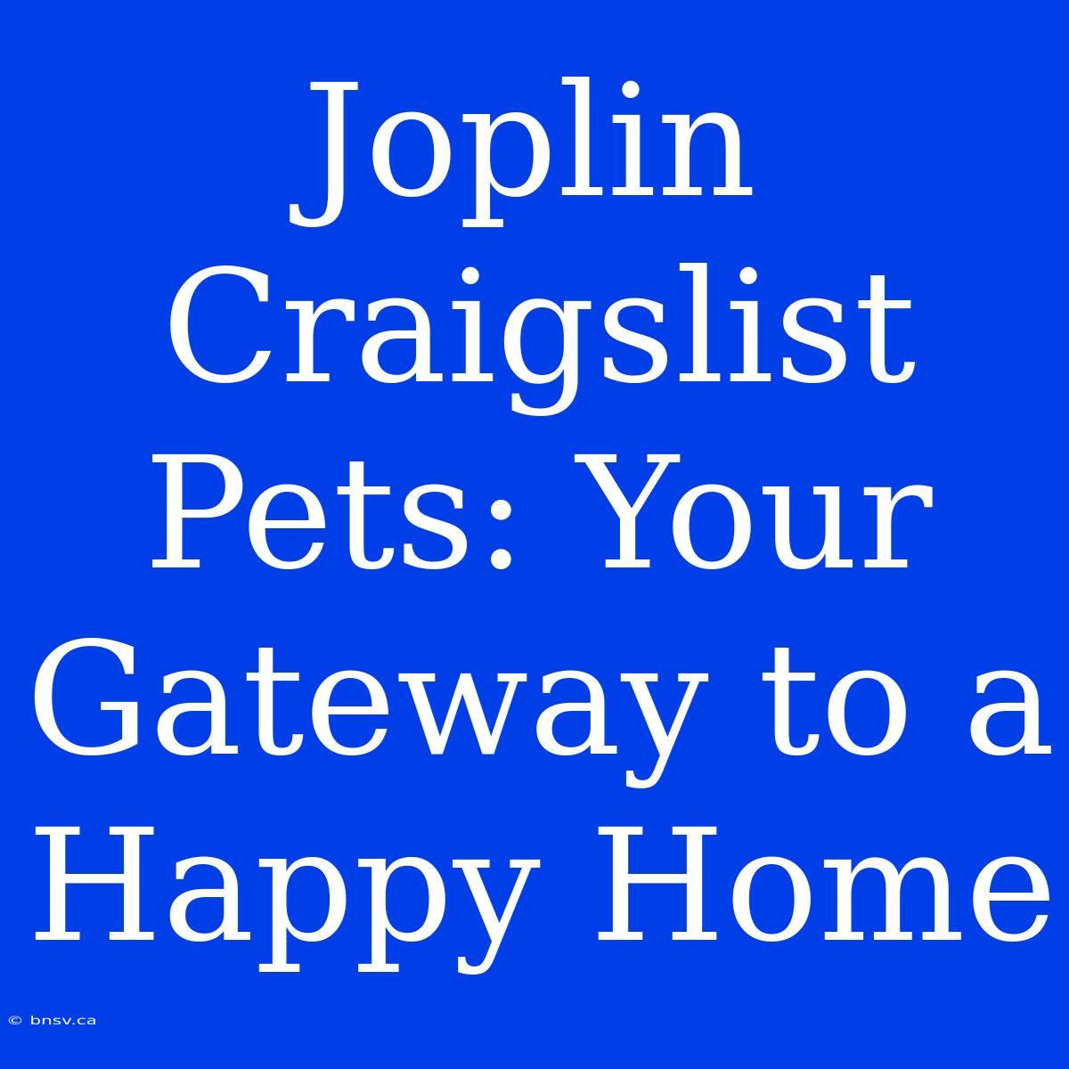 Joplin Craigslist Pets: Your Gateway To A Happy Home