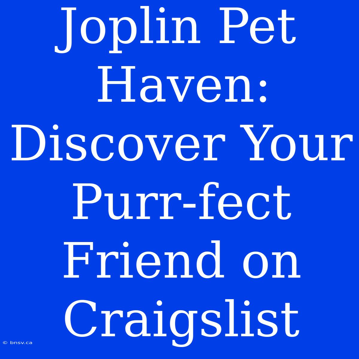 Joplin Pet Haven: Discover Your Purr-fect Friend On Craigslist