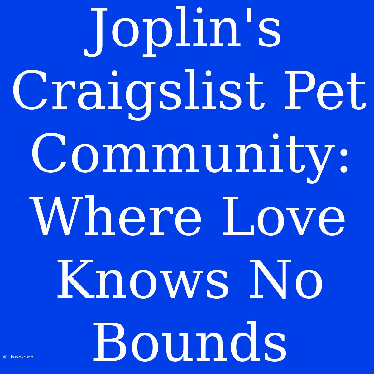 Joplin's Craigslist Pet Community: Where Love Knows No Bounds