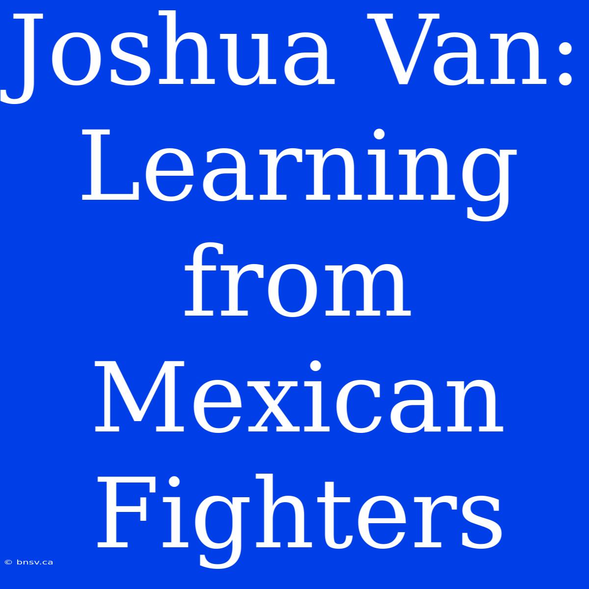 Joshua Van: Learning From Mexican Fighters