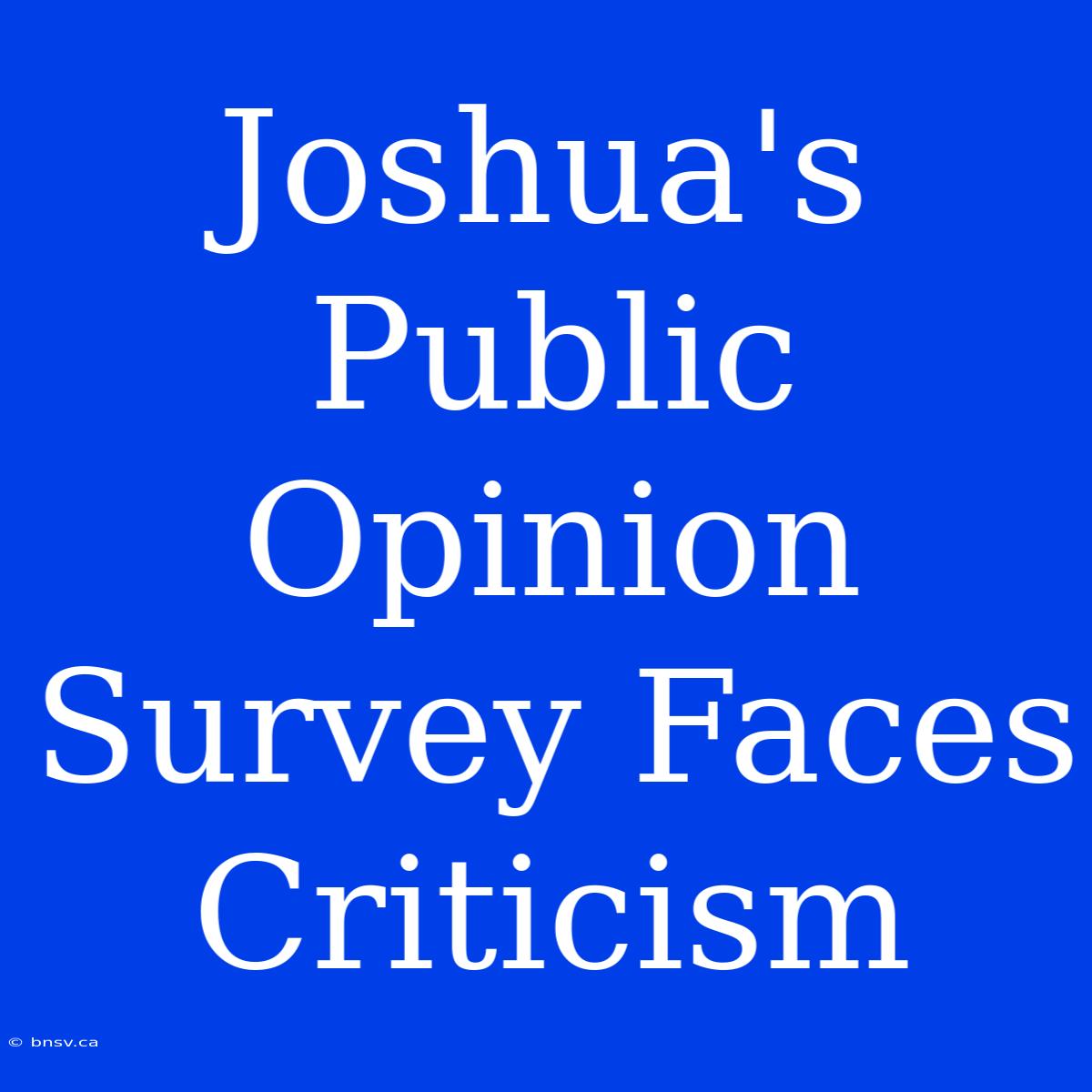 Joshua's Public Opinion Survey Faces Criticism