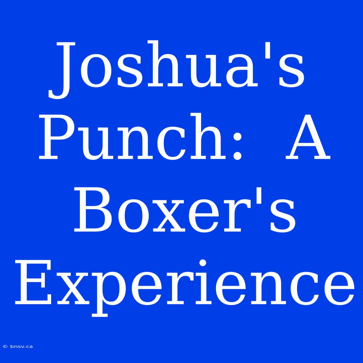 Joshua's Punch:  A Boxer's Experience