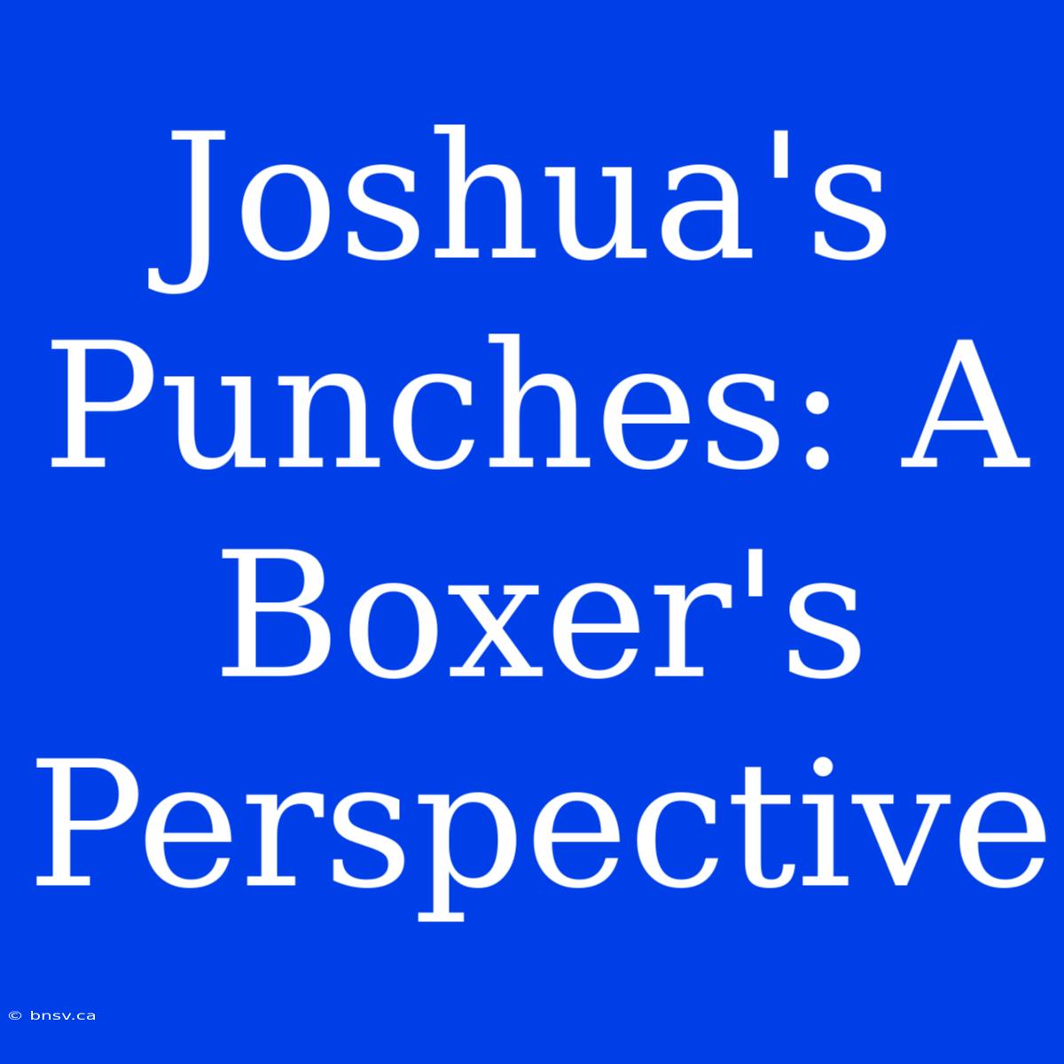 Joshua's Punches: A Boxer's Perspective