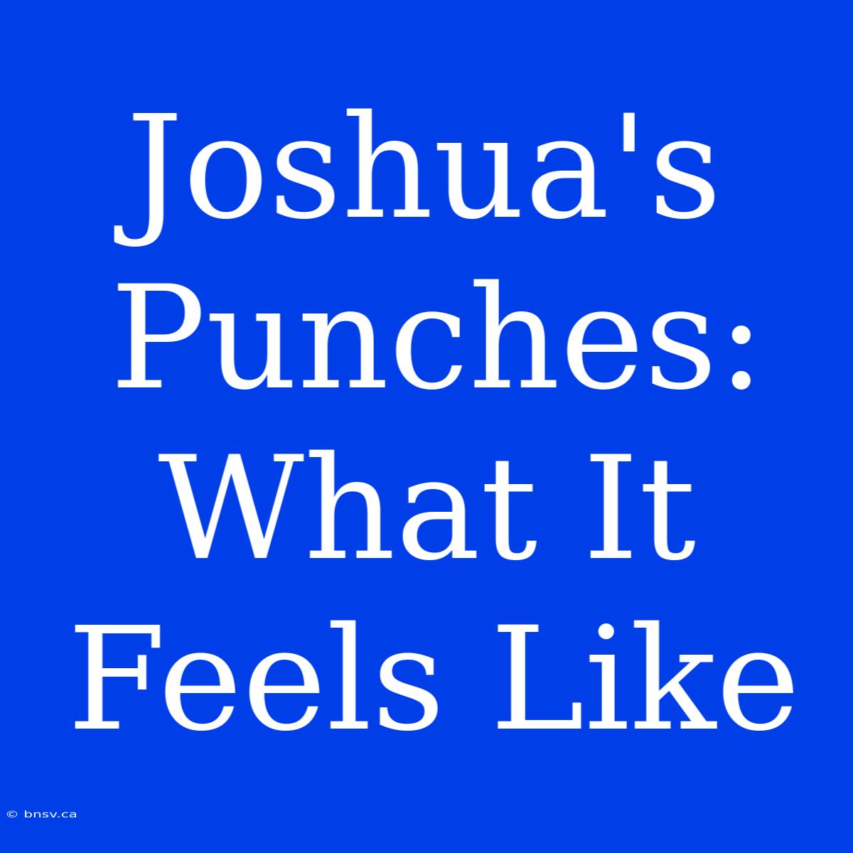 Joshua's Punches: What It Feels Like