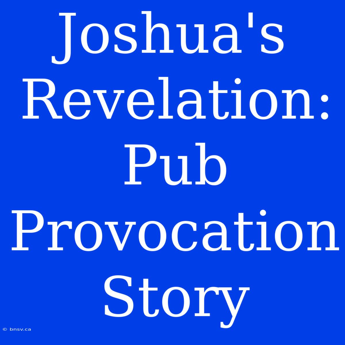 Joshua's Revelation: Pub Provocation Story