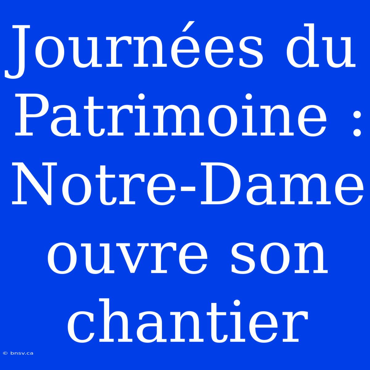 Journées Du Patrimoine : Notre-Dame Ouvre Son Chantier