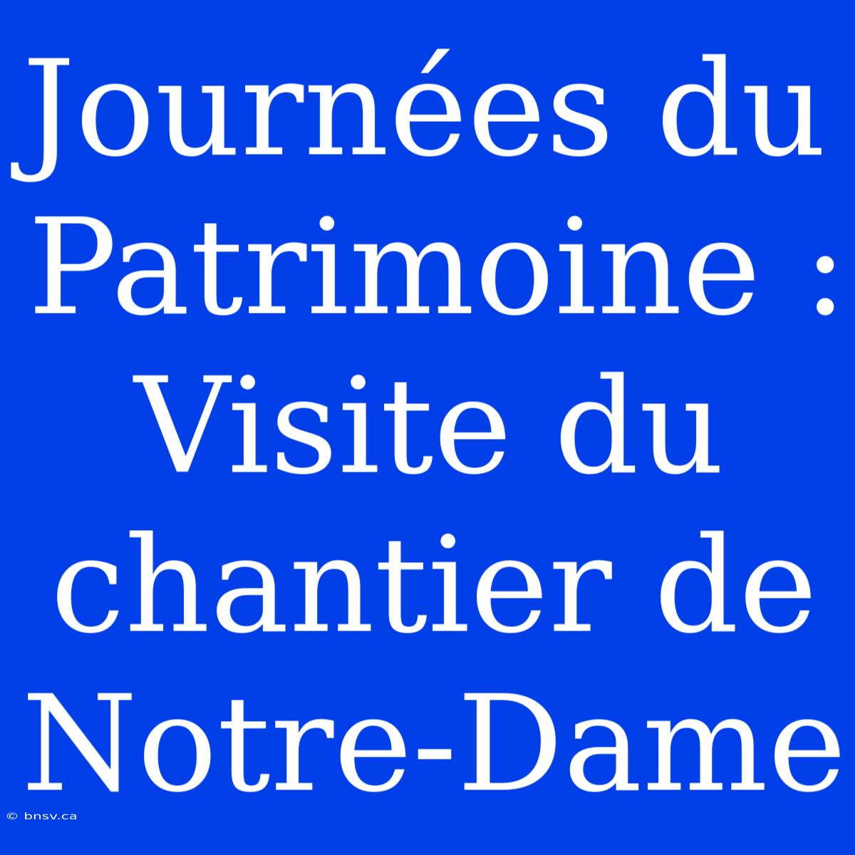 Journées Du Patrimoine : Visite Du Chantier De Notre-Dame