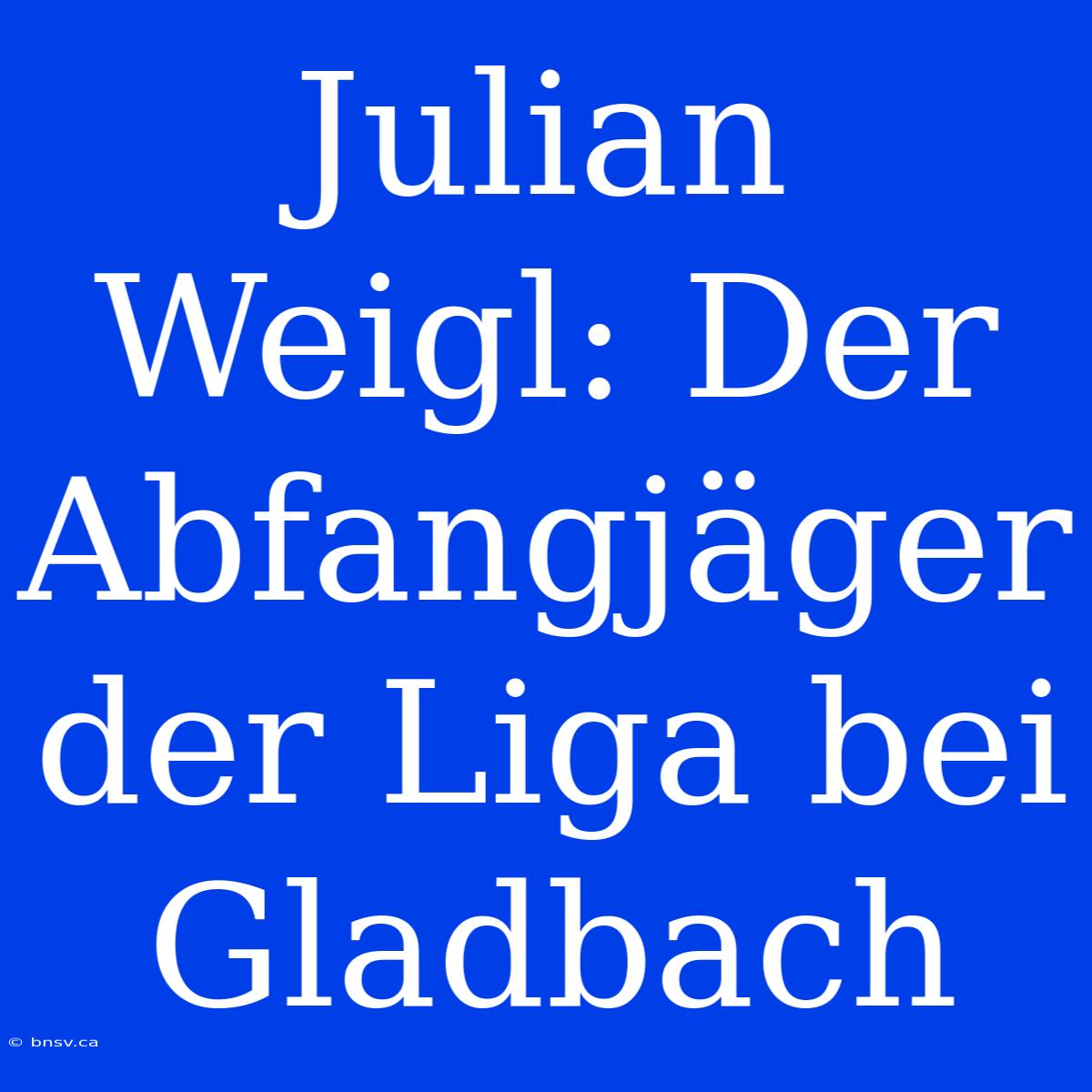 Julian Weigl: Der Abfangjäger Der Liga Bei Gladbach