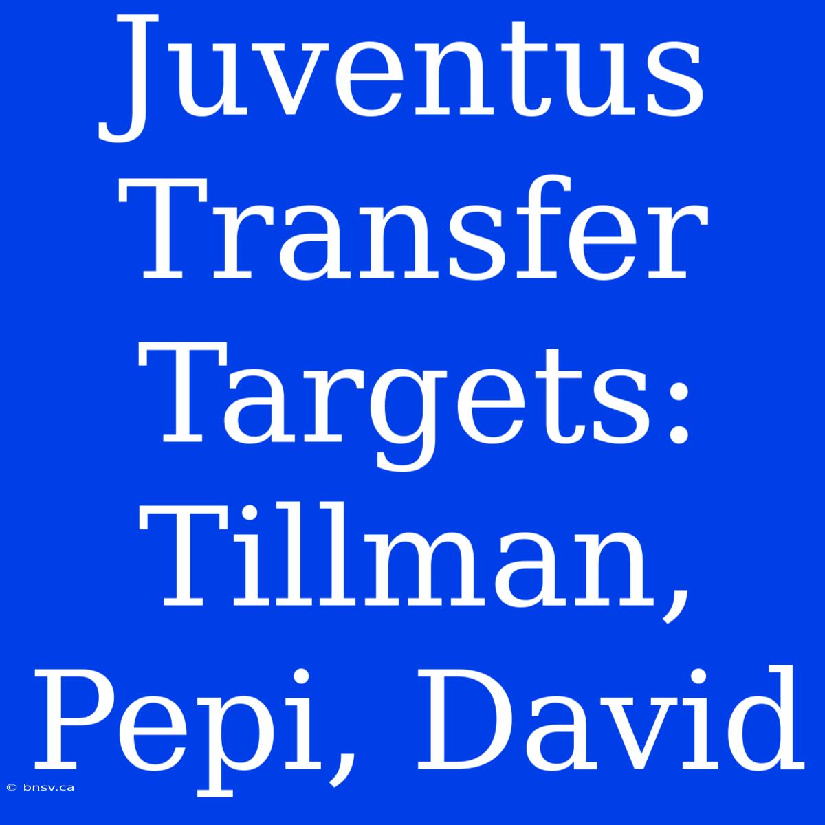 Juventus Transfer Targets: Tillman, Pepi, David