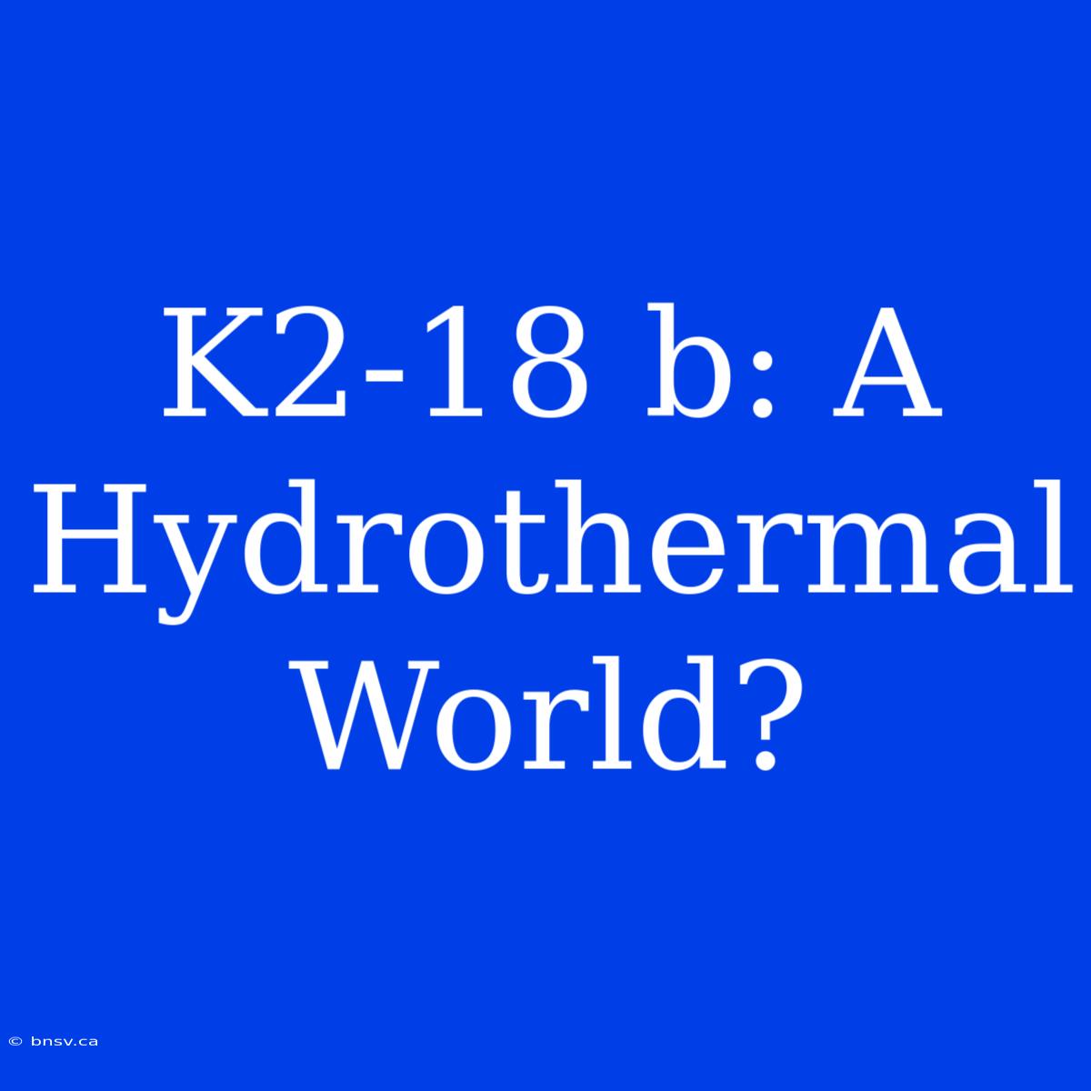 K2-18 B: A Hydrothermal World?