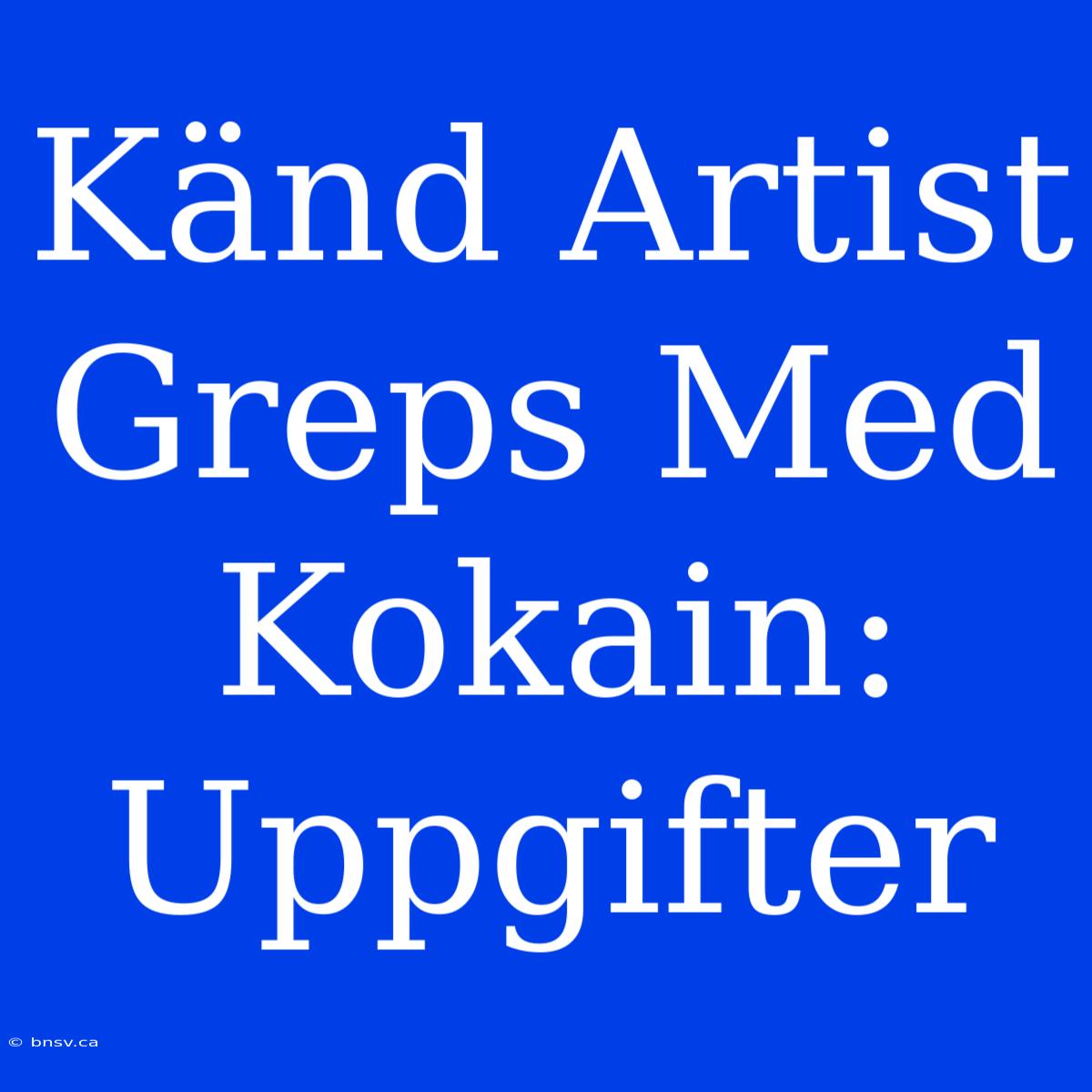 Känd Artist Greps Med Kokain: Uppgifter