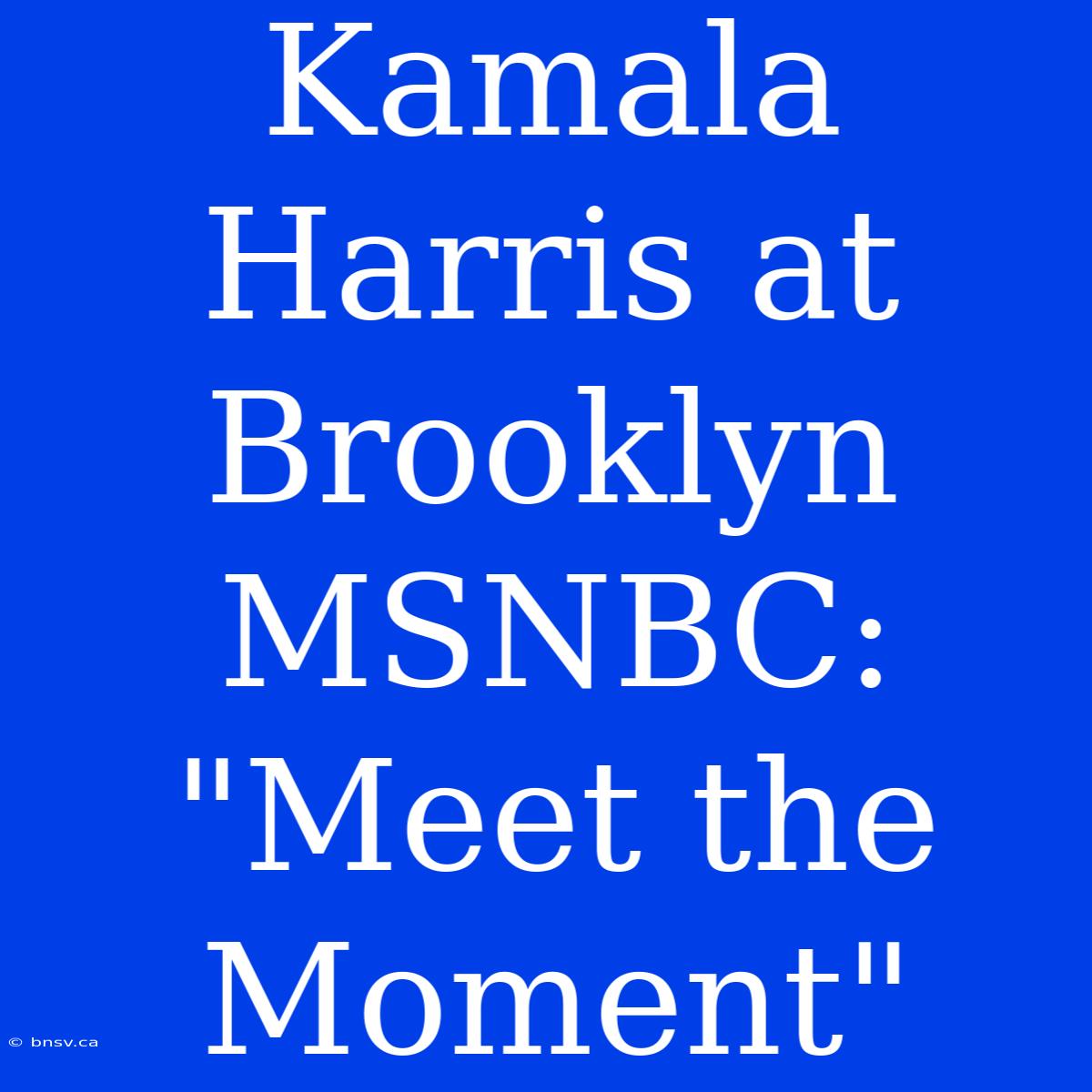 Kamala Harris At Brooklyn MSNBC: 