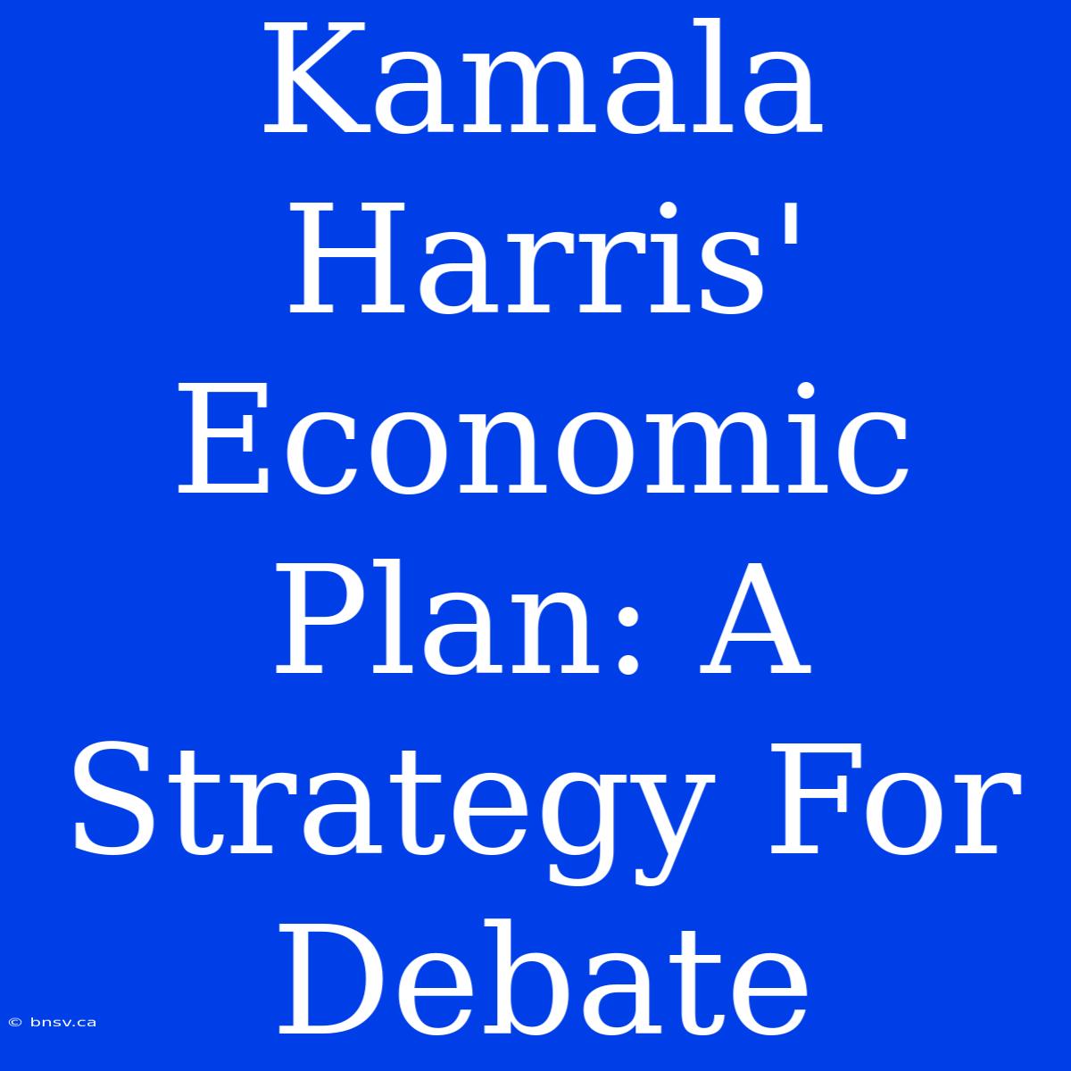 Kamala Harris' Economic Plan: A Strategy For Debate