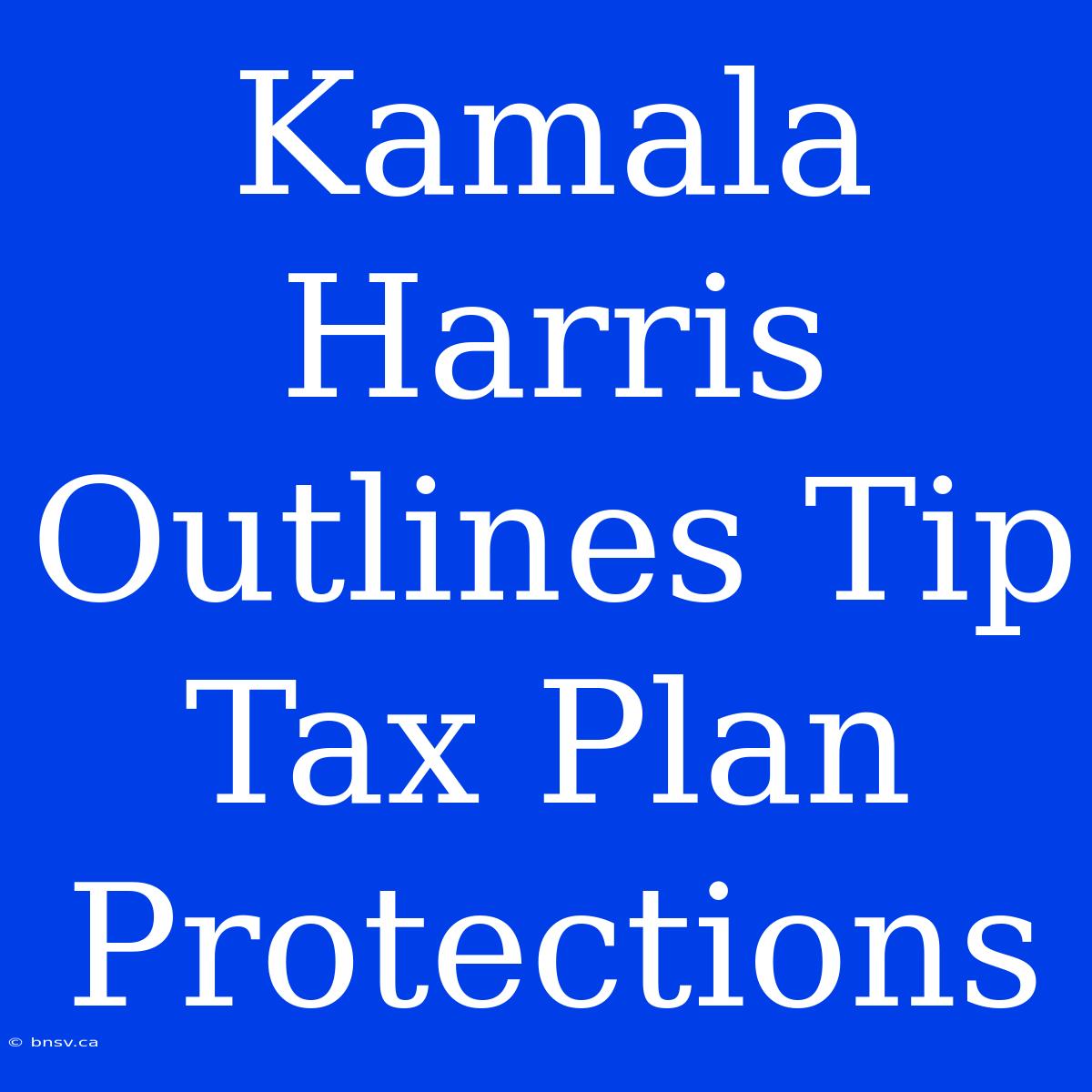 Kamala Harris Outlines Tip Tax Plan Protections