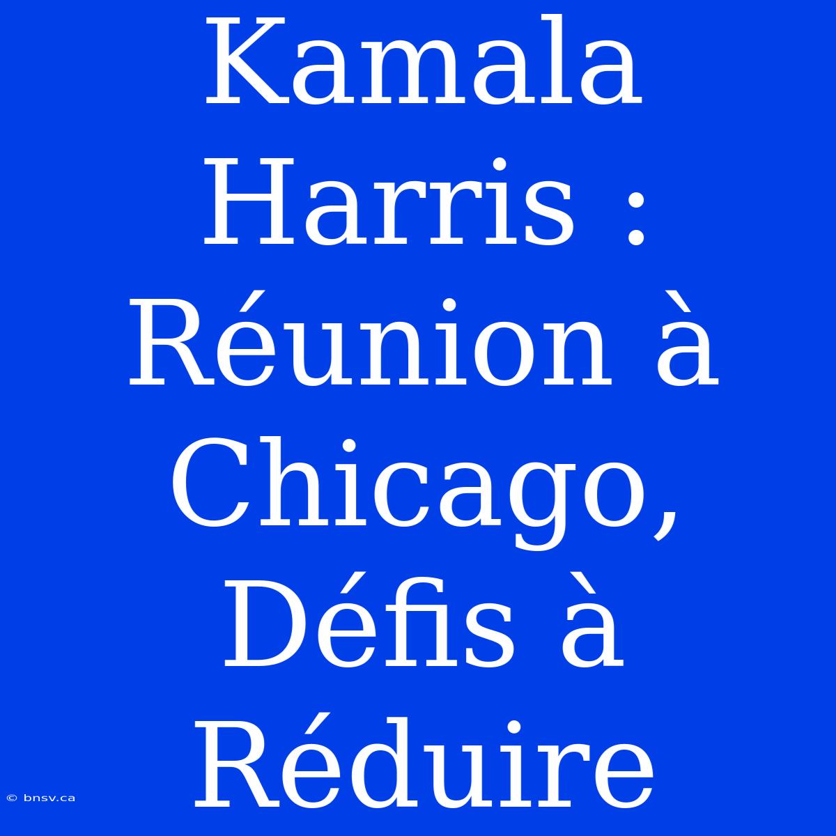 Kamala Harris :  Réunion À Chicago, Défis À Réduire