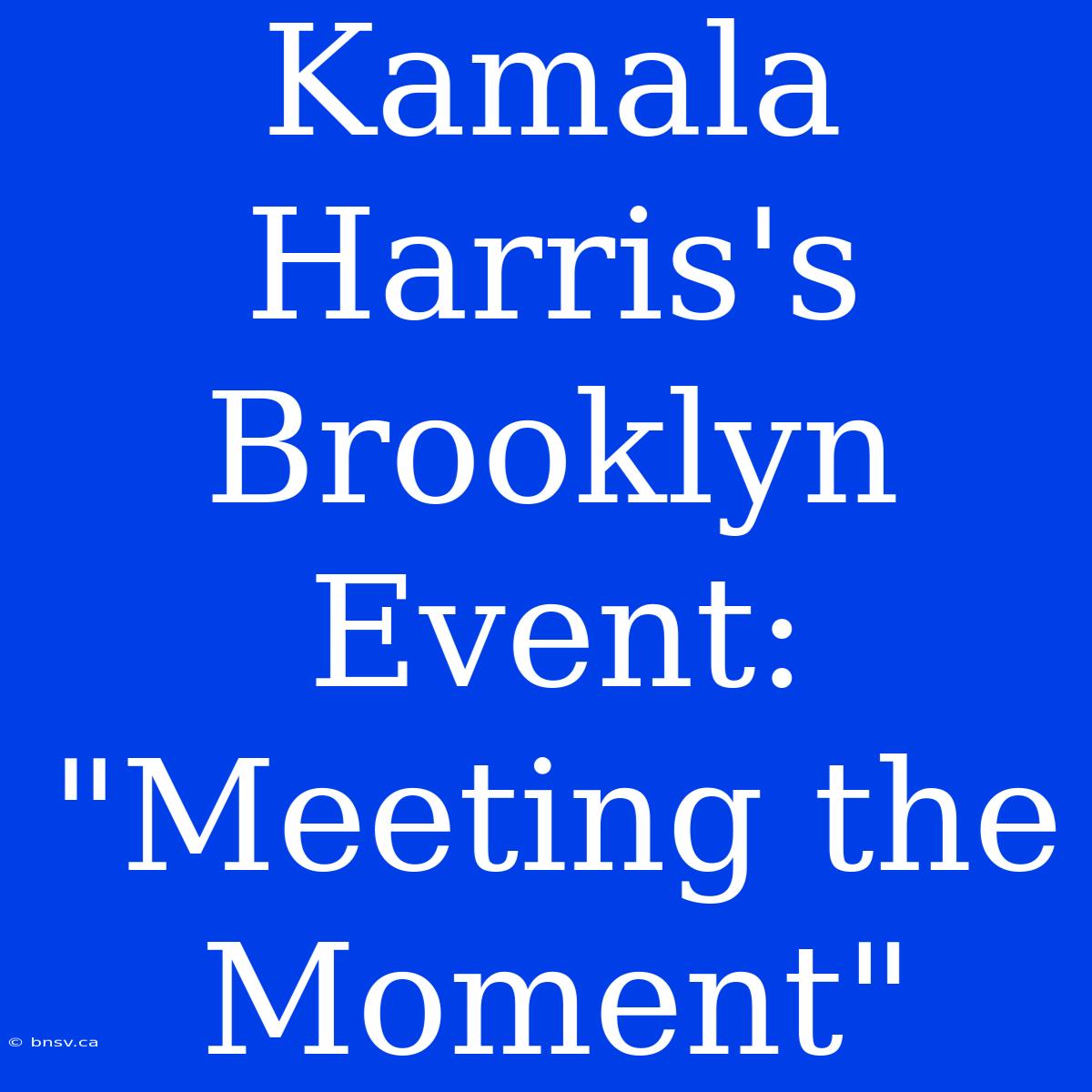 Kamala Harris's Brooklyn Event: 