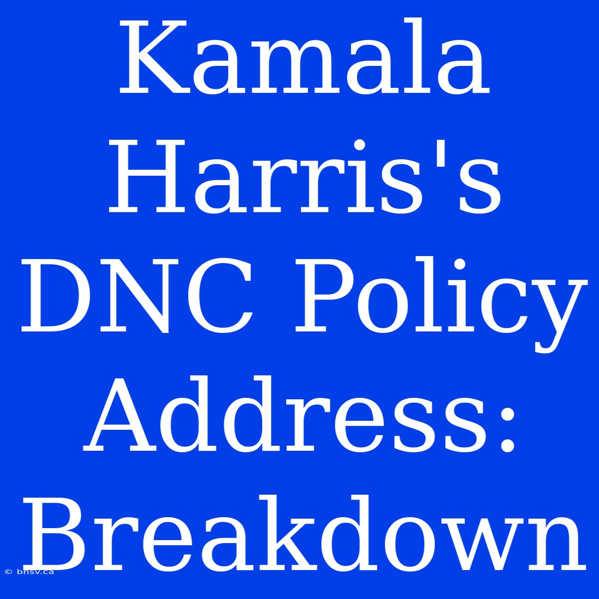 Kamala Harris's DNC Policy Address: Breakdown