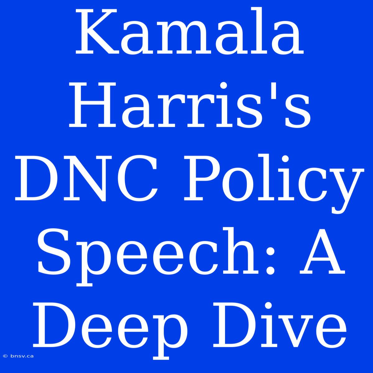 Kamala Harris's DNC Policy Speech: A Deep Dive