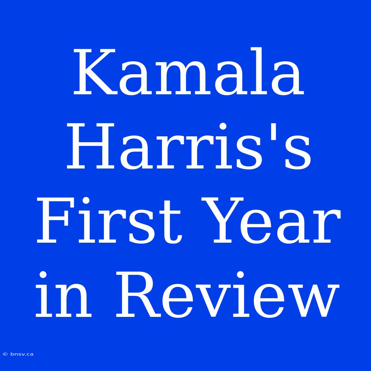 Kamala Harris's First Year In Review