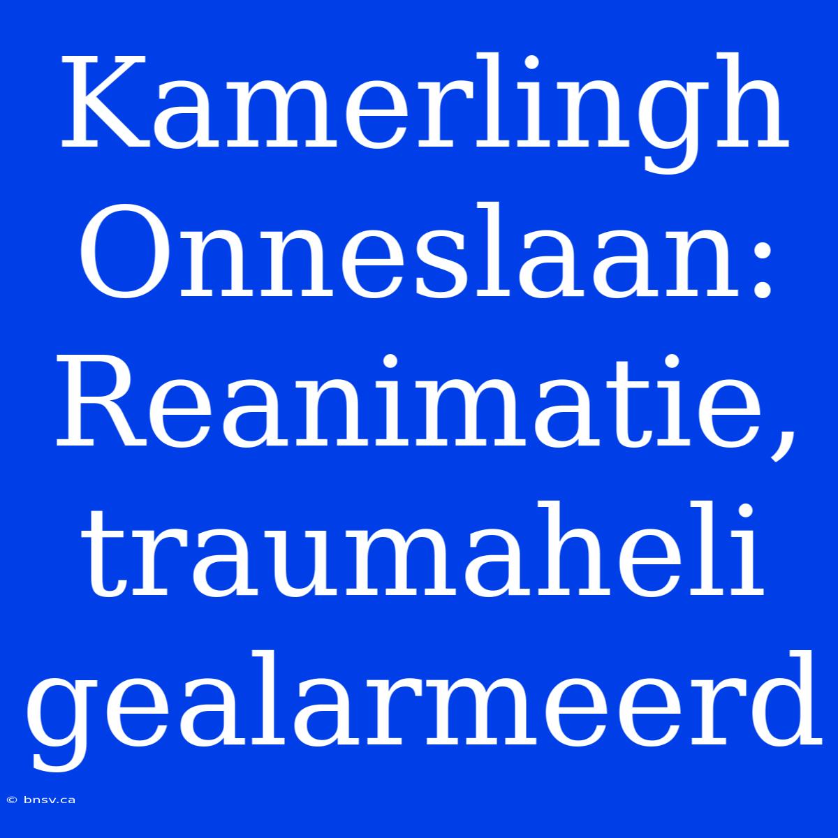 Kamerlingh Onneslaan: Reanimatie, Traumaheli Gealarmeerd