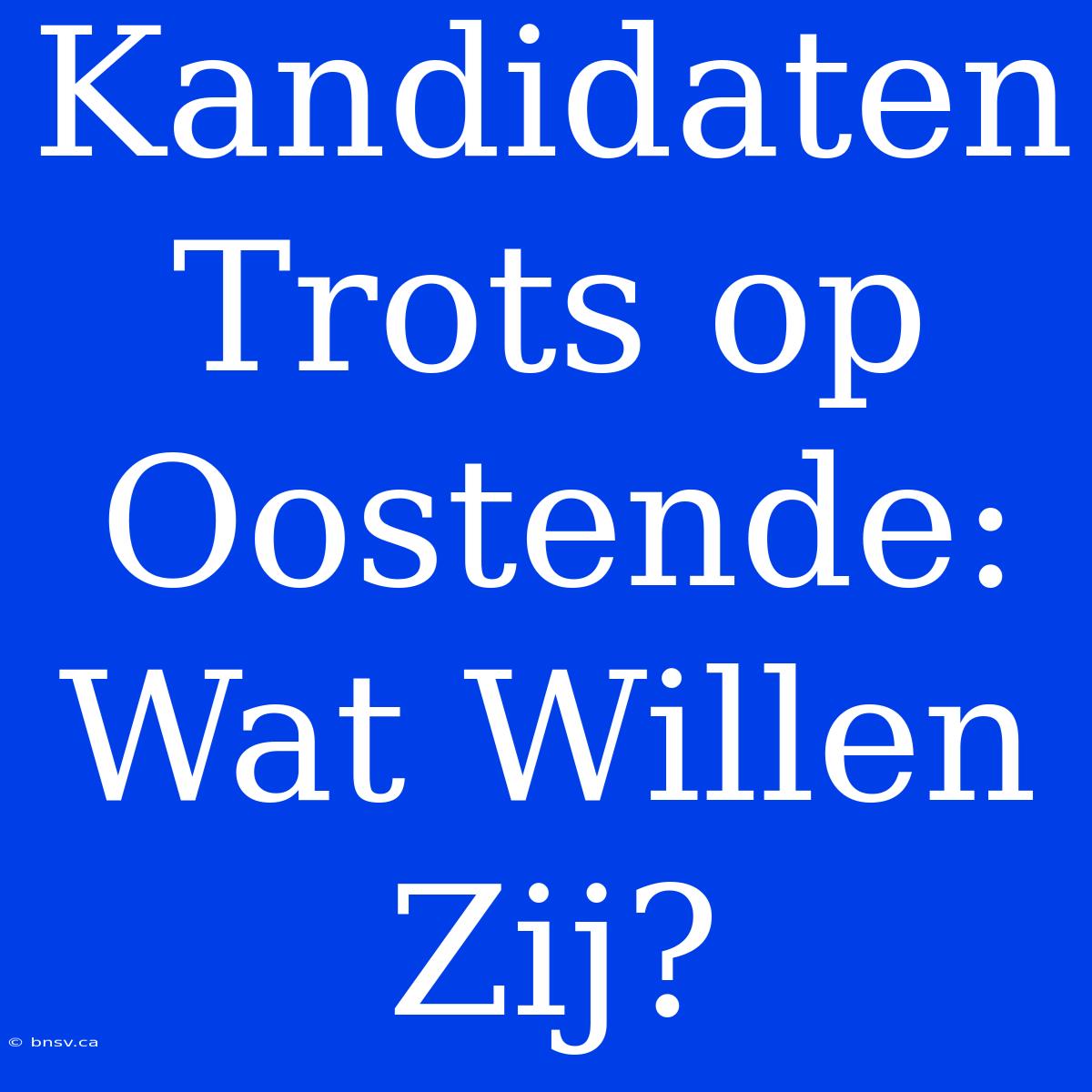 Kandidaten Trots Op Oostende: Wat Willen Zij?