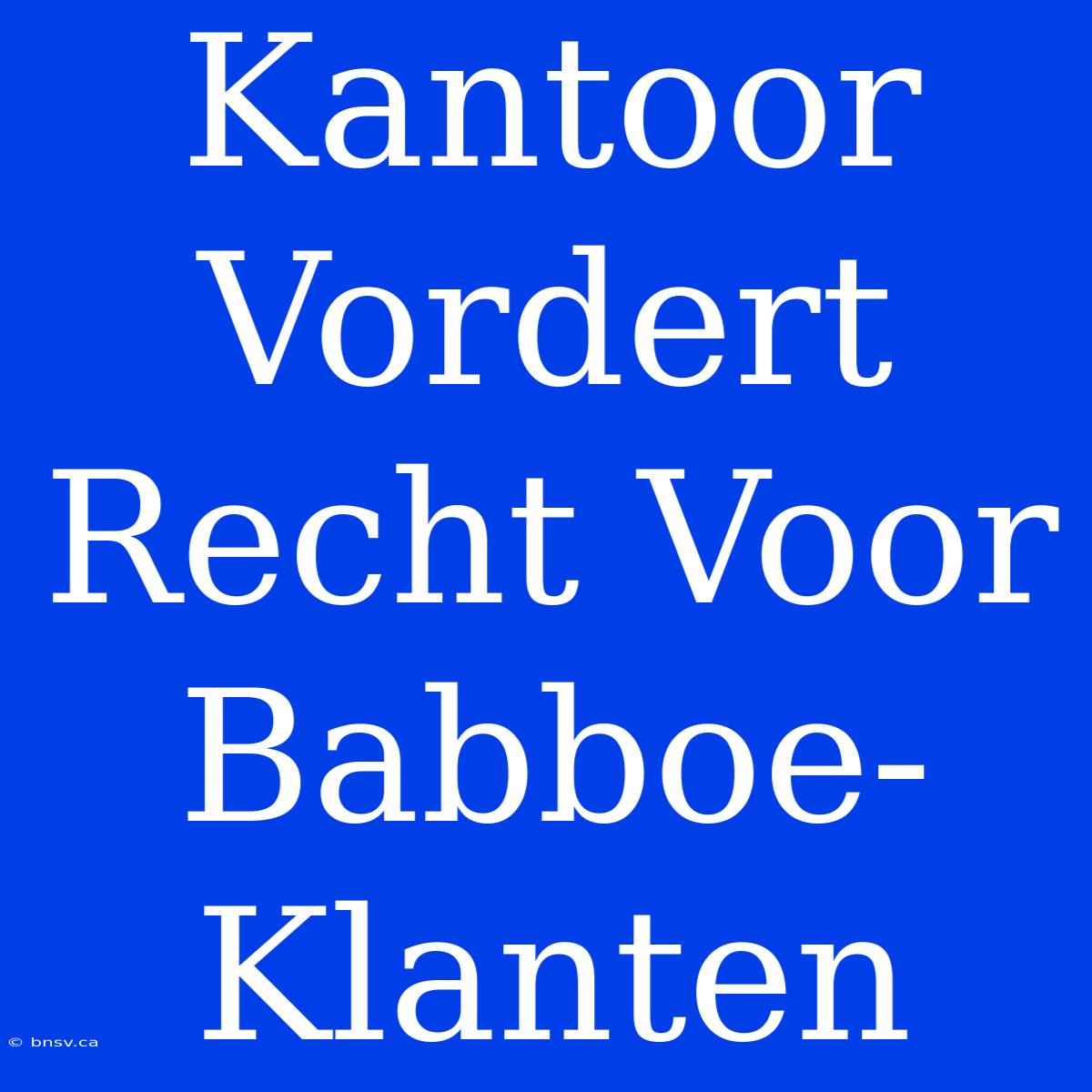 Kantoor Vordert Recht Voor Babboe-Klanten