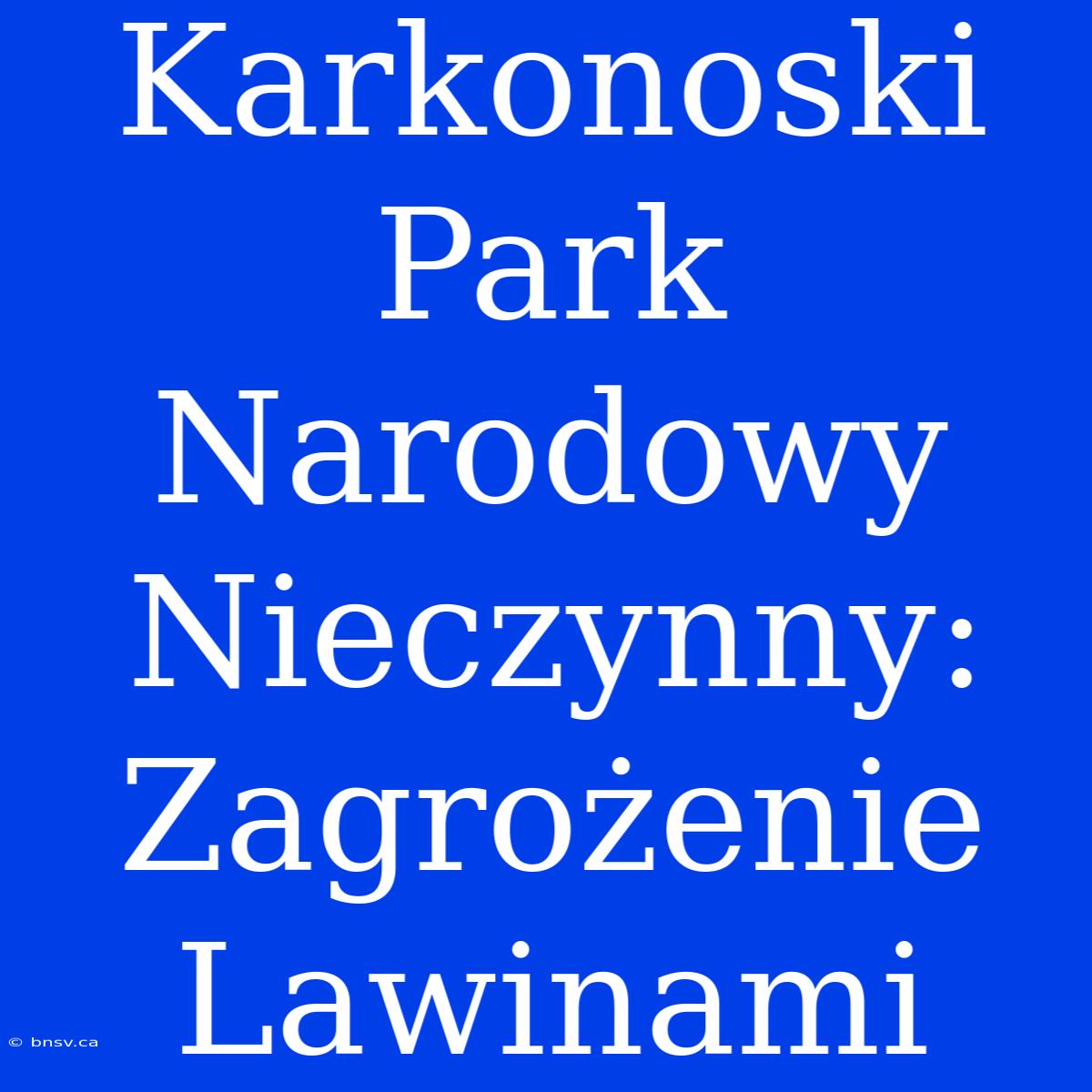 Karkonoski Park Narodowy Nieczynny: Zagrożenie Lawinami