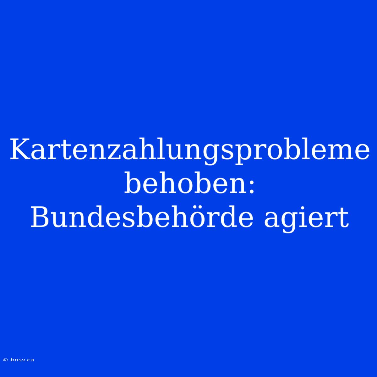 Kartenzahlungsprobleme Behoben: Bundesbehörde Agiert