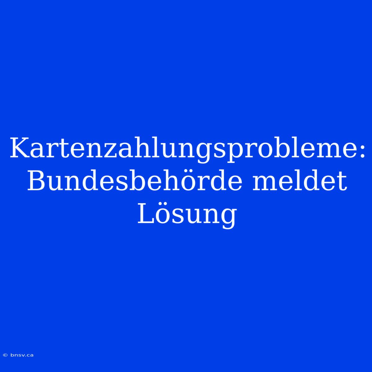 Kartenzahlungsprobleme: Bundesbehörde Meldet Lösung