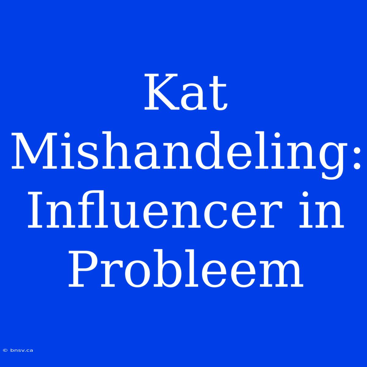 Kat Mishandeling: Influencer In Probleem